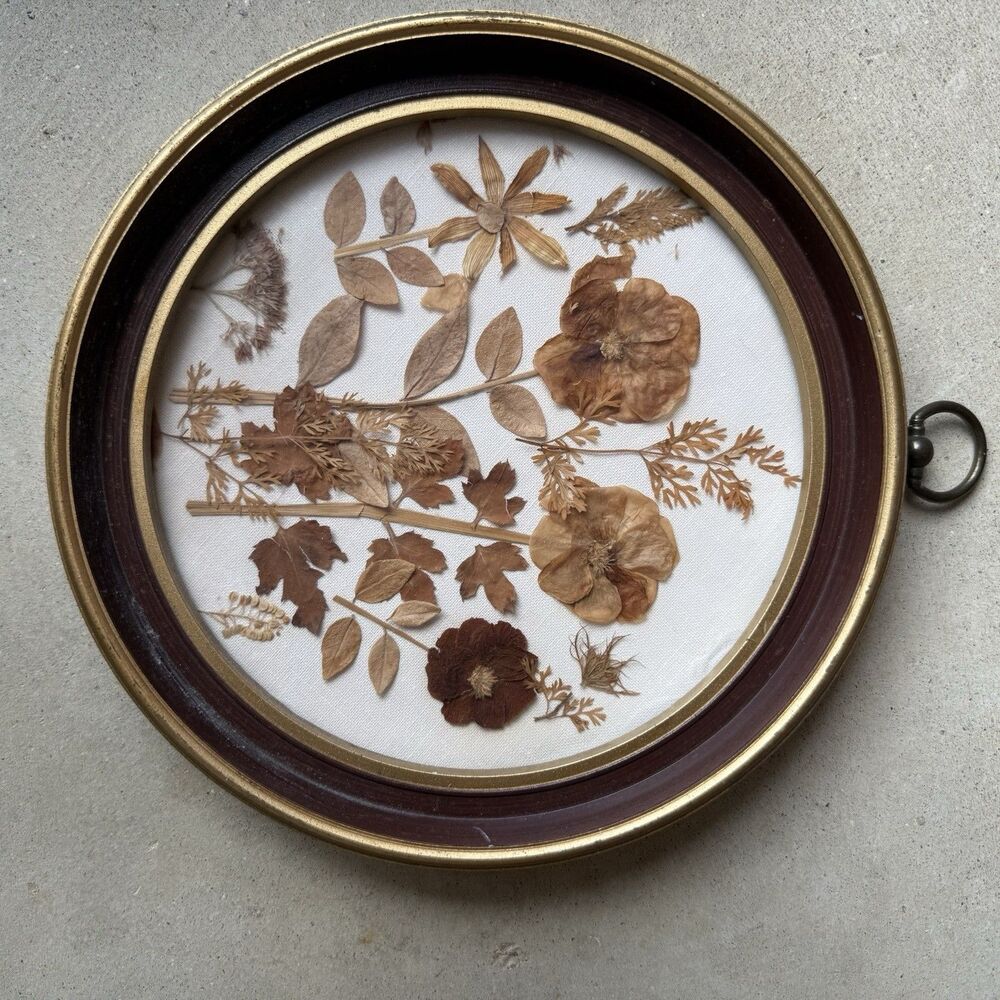 Vintage Pressed Flower Wall Art Round Brass‑Tone Frame 1960s–70s Hong Kong 8.5” - Picture 6 of 6